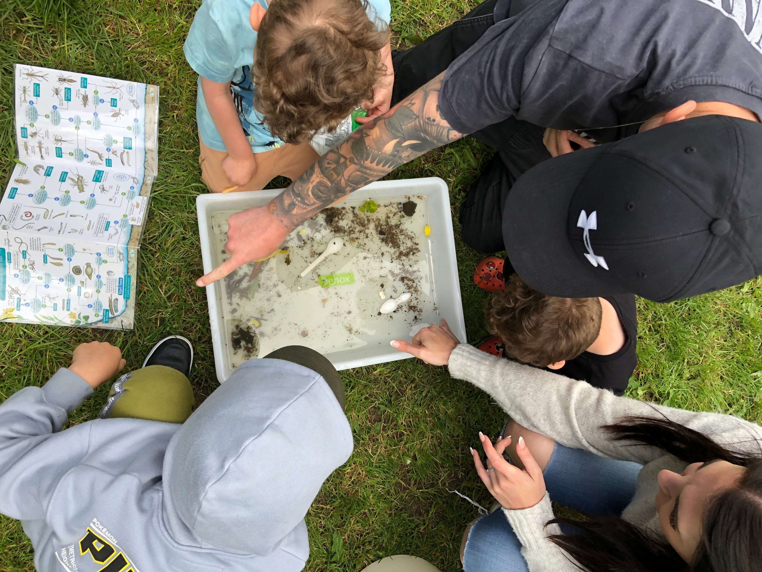 Frome Families for the Future (FFFF) and Friends of the River Frome organised the River Festival
