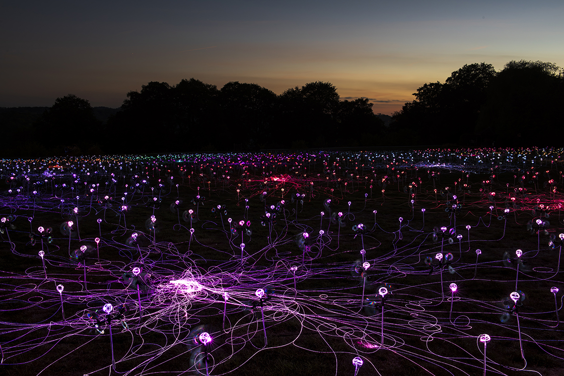 dh mol © 2026 bruce munro. photography by darren harvey regan (210)